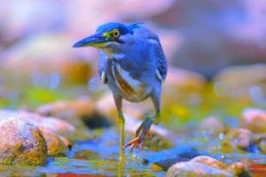 匈牙利客场力克阿塞尔巴达，索尔扎伊G罗传射