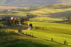 马德里竞技遭受小挫，晋级希望仍在