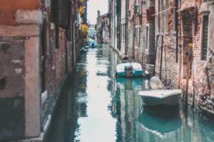 猛龙主场取得胜利迎战下一场