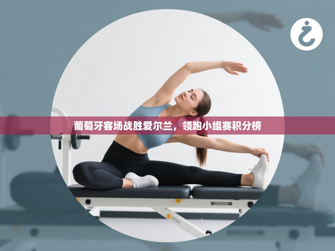 葡萄牙客场战胜爱尔兰,领跑小组赛积分榜 第2张